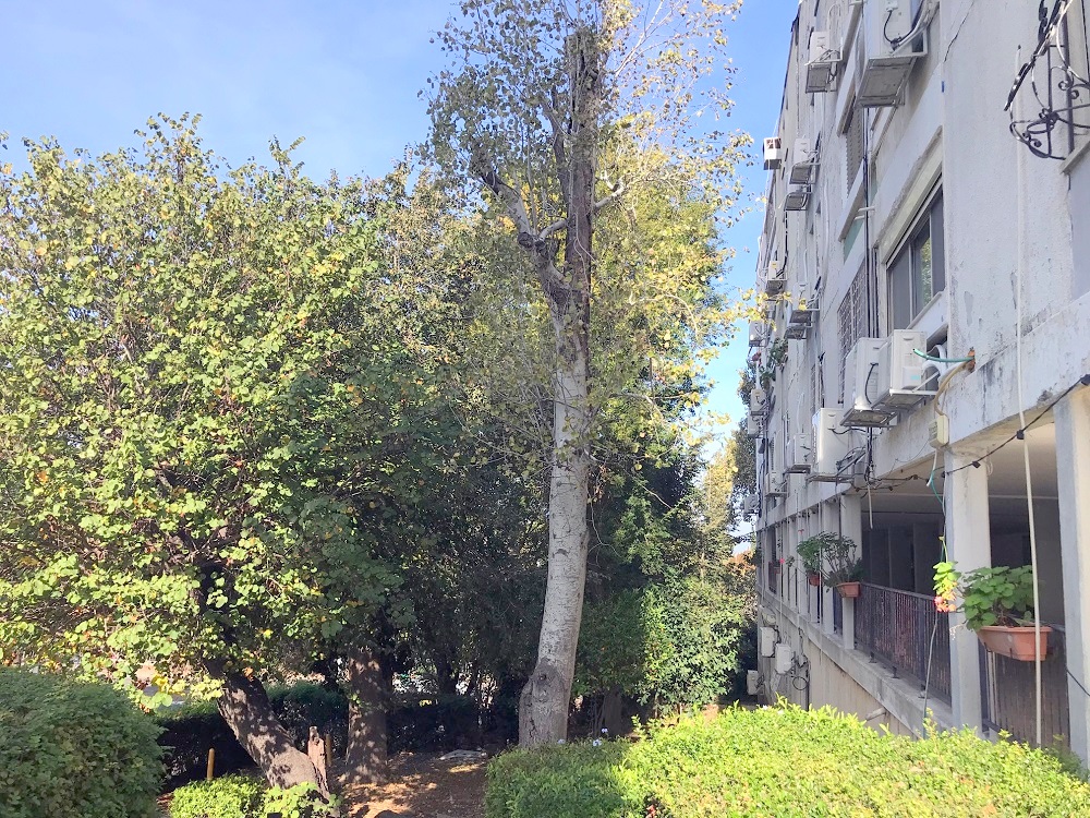 להשכרה בדובנוב המבוקש, דירת 3 חדרים מרווחת – לטווח ארוך!