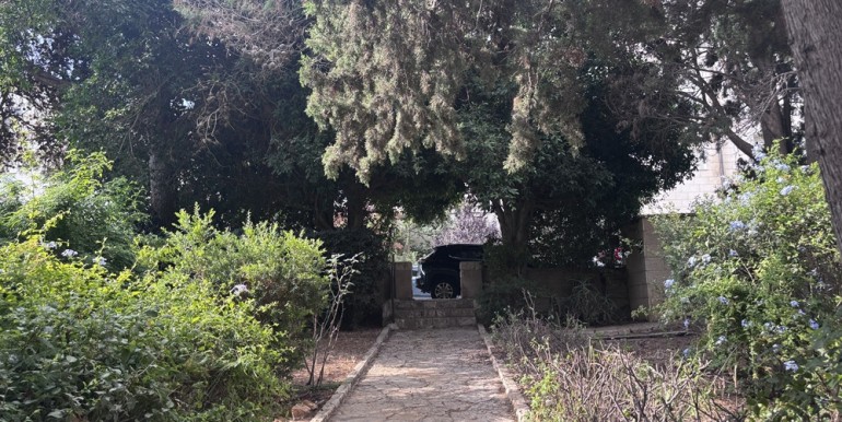 דרך גישה