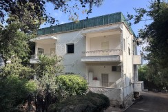 למכירה בבלעדיות ברחוב זרובבל המבוקש: איכות קלאסית מתפרצת.